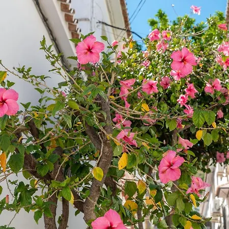 Сasa de vacaciones Lovely Cozy 2-bedroom Residential With Patio *